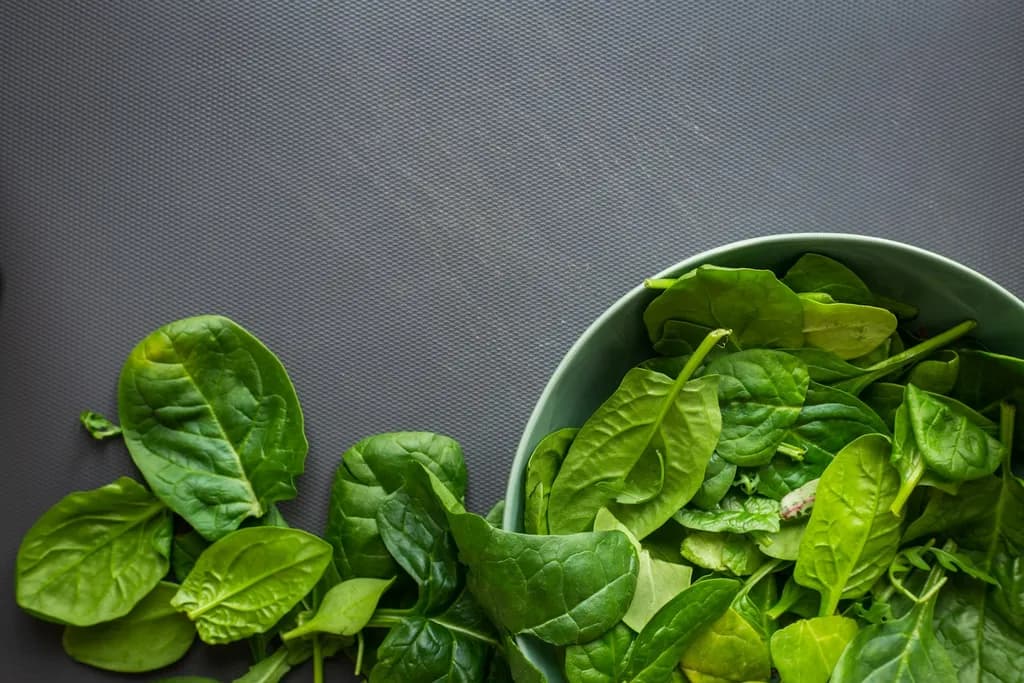 Fresh green leaves in a white ceramic bowl