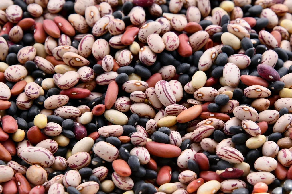 An assortment of dried beans and legumes in different colors